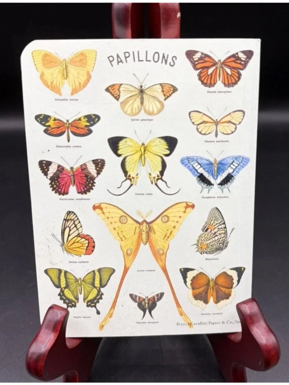 Cavallini & Co Butterflies Papillons Unlined Blank Journal Stationery USA